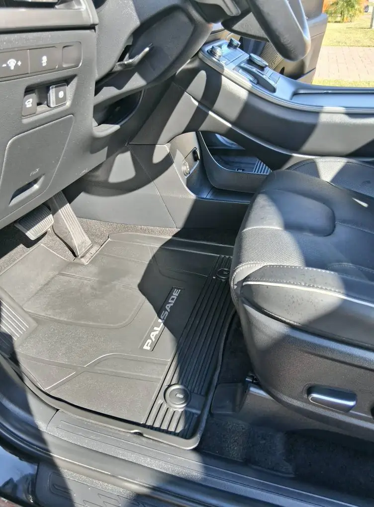 Interior floor mat cleaning and dashboard conditioning for a Hyundai Palisade