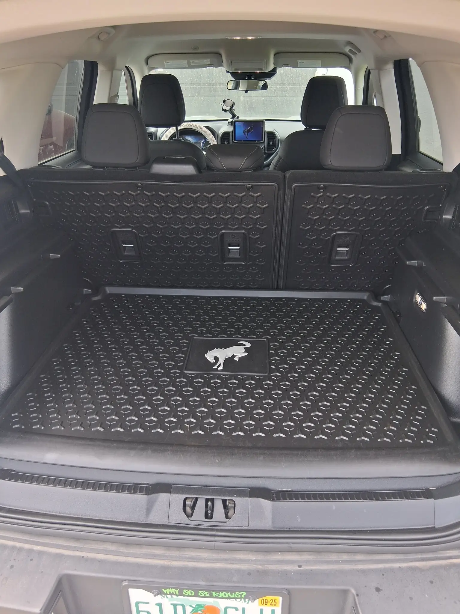 Mobile auto detailing in Altoona FL by Diamond Auto Spa